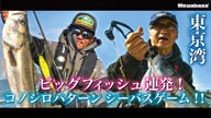 ALKYRIE WORLD EXPEDITION movie Link