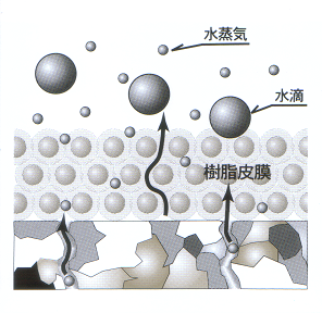 リンレイ 石床プロコート【石材用ワックス】 の通販