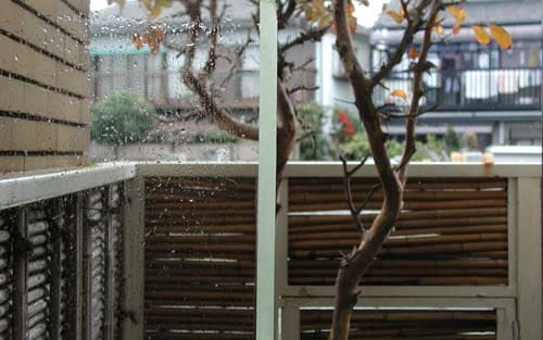 イズモ　プロテクト・ガラスコート塗布後の比較