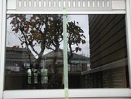 イズモ　プロテクト・ガラスコート手順1