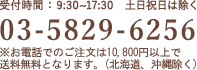 03-5829-6256