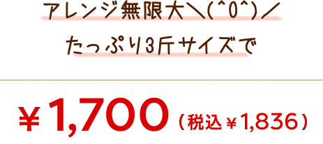 アレンジ無限大＼(^O^)／ たっぷり3斤サイズで　￥1,600(税込 ￥1,728)