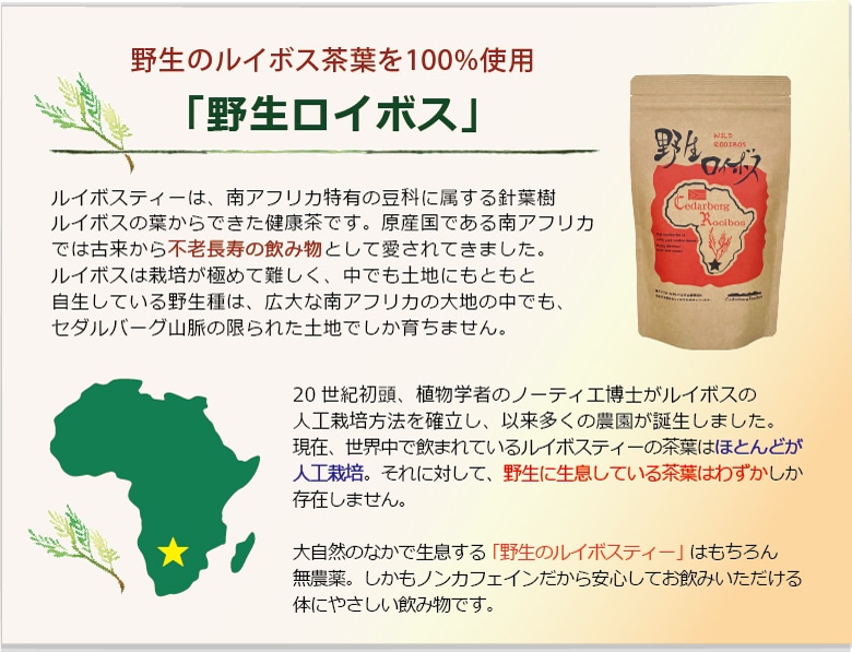 野生ルイボス茶葉100％使用「野生のロイボス」