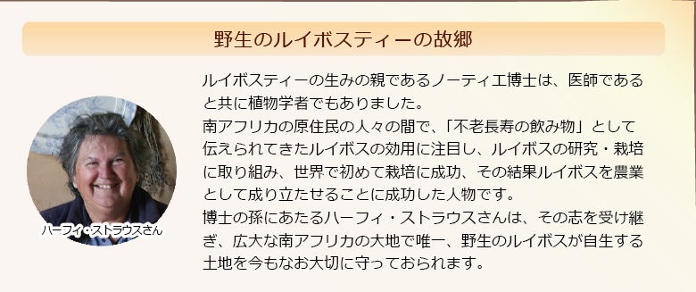 野生ルイボス自生地を守るハーフィーさん