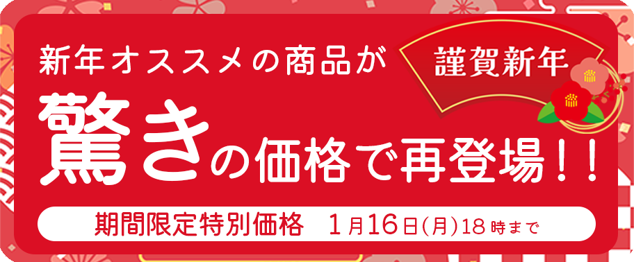 新年オススメの商品が驚きの価格で再登場！！