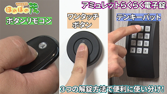 ぼのるんマート - セリュール アミュレットらくらく電子錠〔ボタン ...