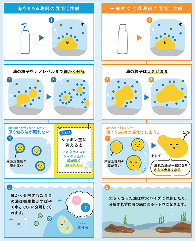 海をまもる洗剤の界面活性剤と一般的な合成洗剤の界面活性剤の比較