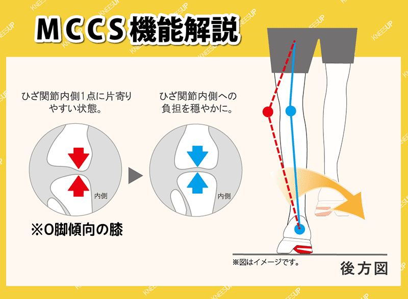 MCCS機能解説