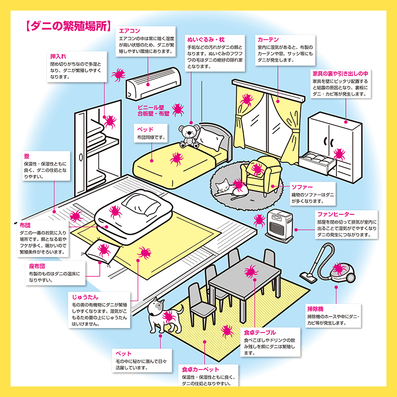 ダニの繁殖場所