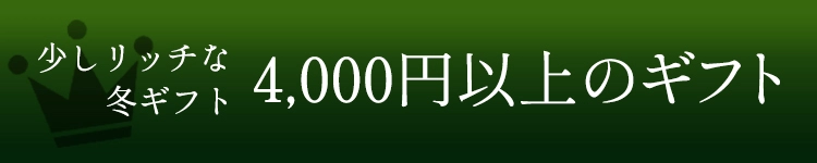 少しリッチな4,000円以上のギフト　