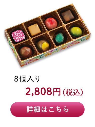 チョコレートセット8個入り