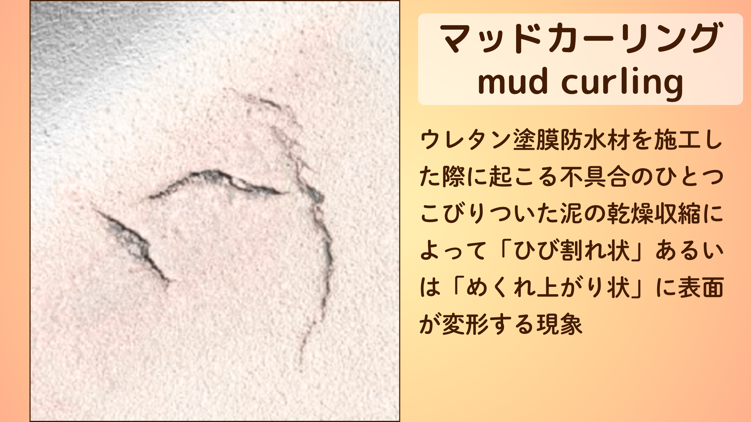 マッドカーリング現象　ウレタン塗膜防水を施工した際に起こる不具合のひとつ。こびりついた泥の乾燥収縮によって「ひび割れ状」あるいは「めくれ上がり状」に表面が変形する現象。