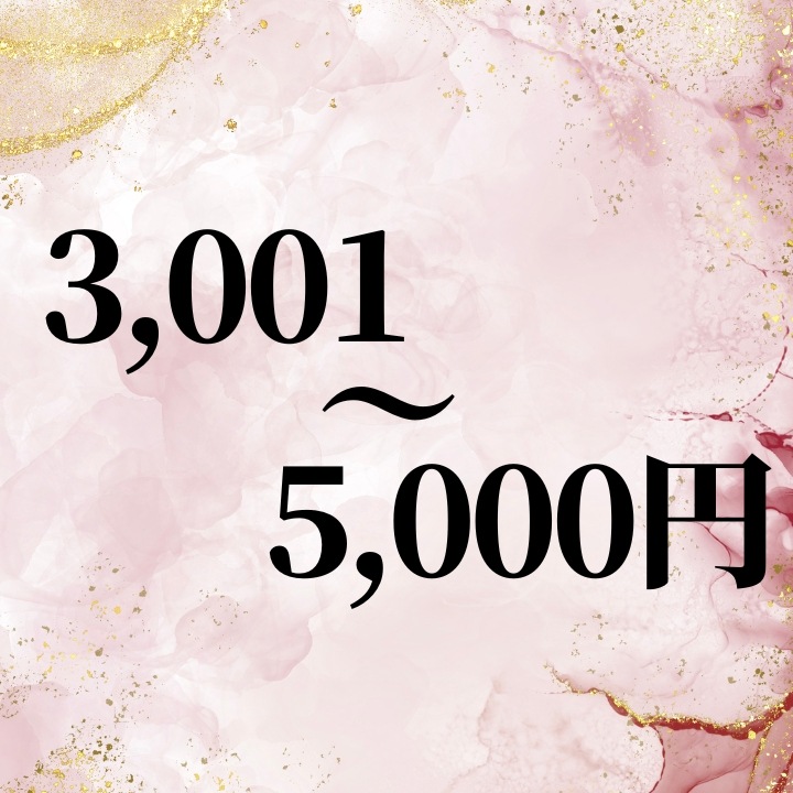 3,001～5,000円
