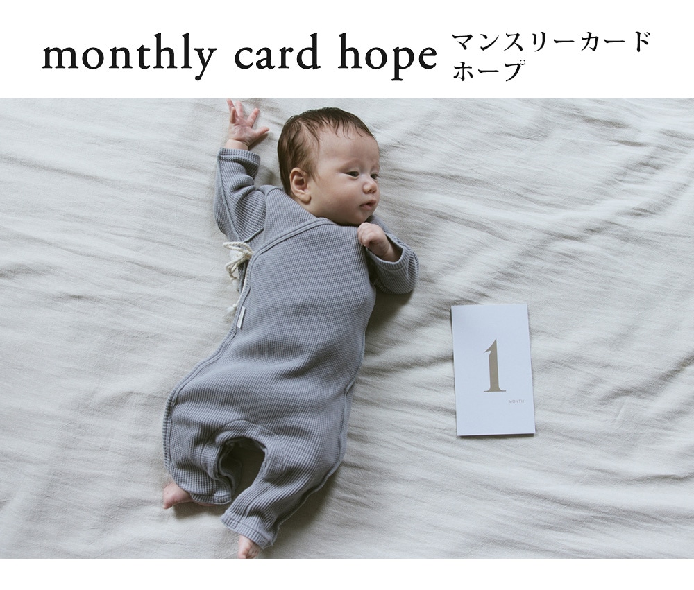 marlmarl ޡޡ ޥ󥹥꡼ɥۡ