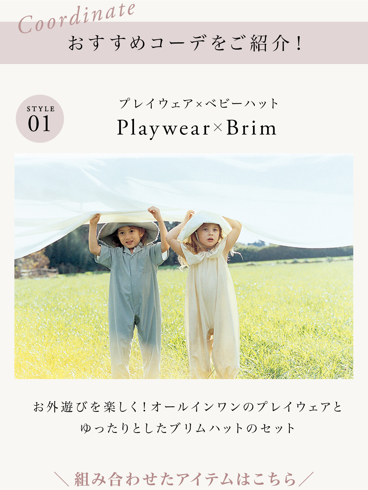�ޡ���ޡ���brim