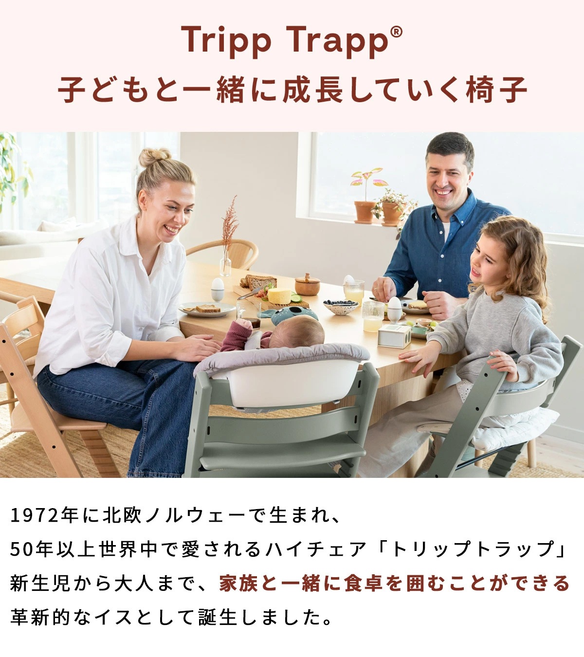 STOKKE �ȥ�åץȥ�å� 5in1 ���������å�