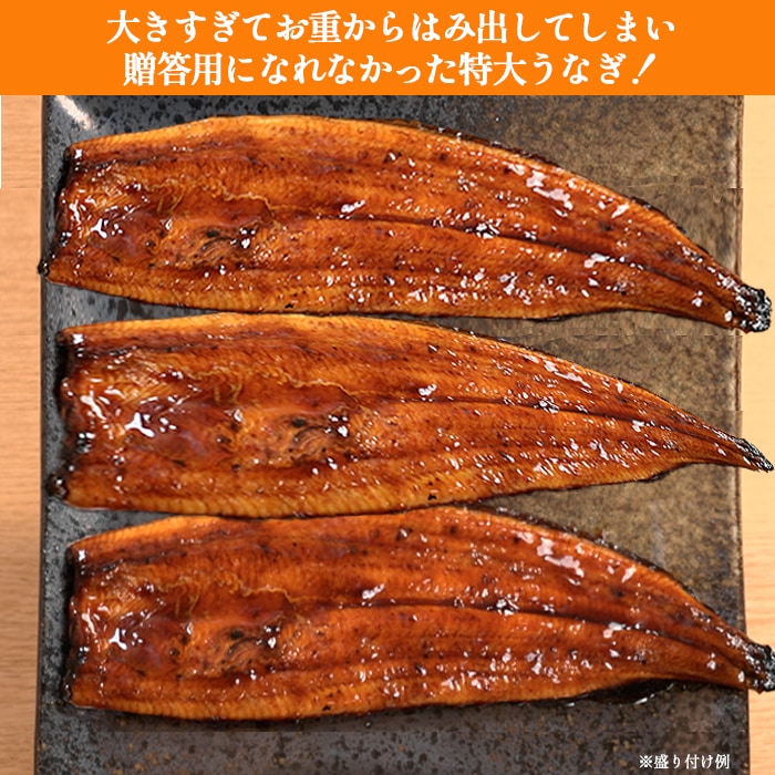 鹿児島県産うなぎ長焼き特大サイズ 3尾セット | すべての商品 | BS朝日
