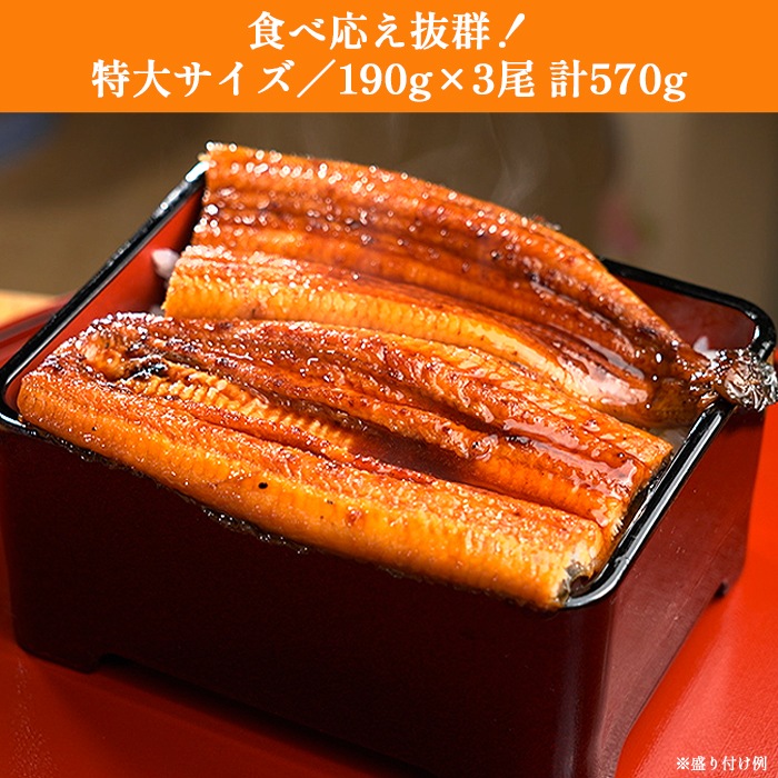 鹿児島県産うなぎ長焼き特大サイズ 3尾セット | すべての商品 | BS朝日