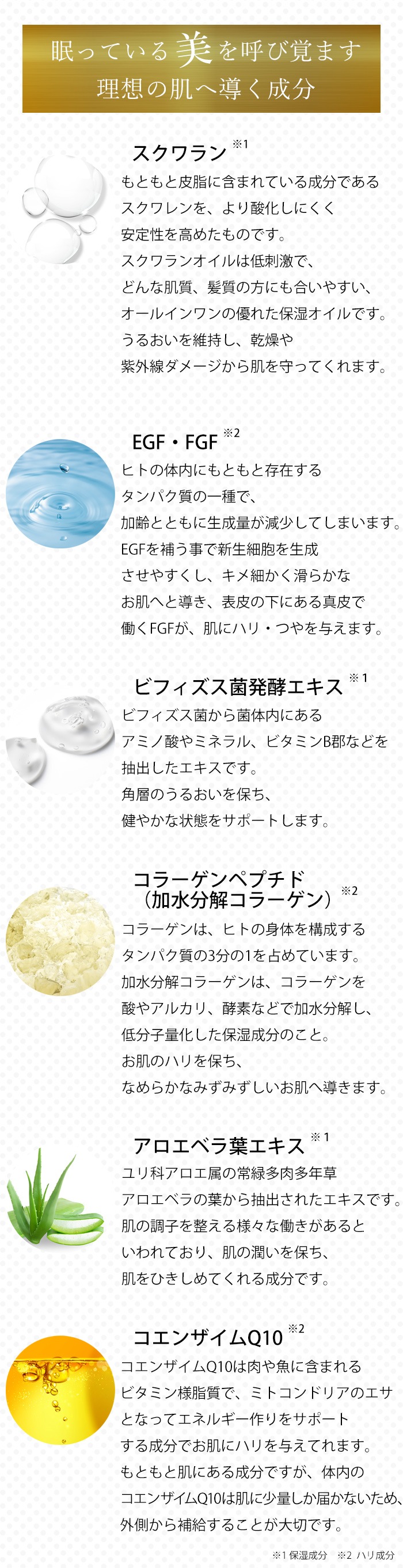 コエンザイムQ10などのハリ成分配合