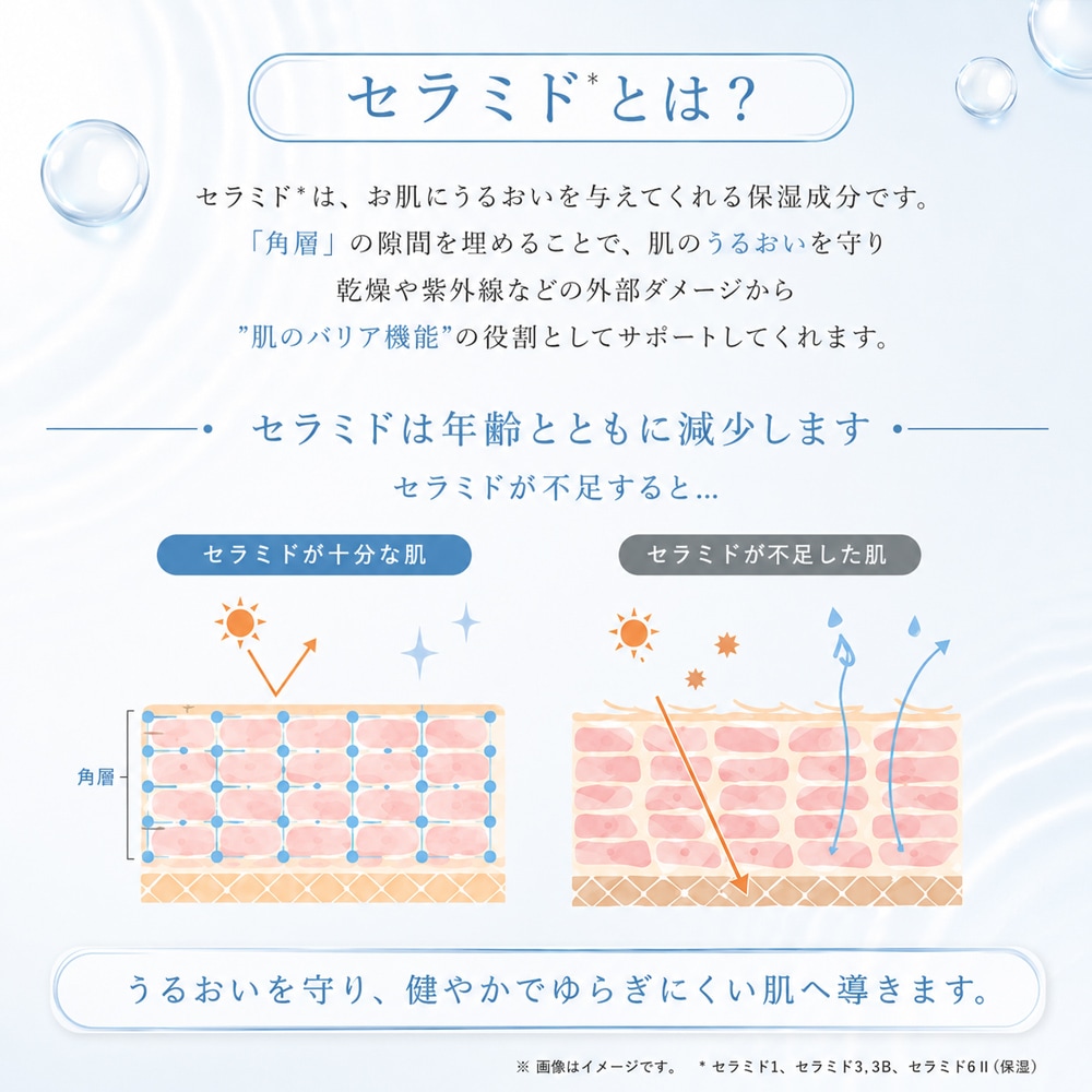 ヒト型セラミドがお肌うるおう健やか肌へ