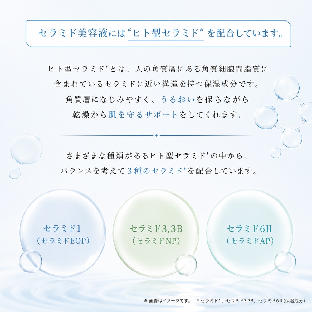 ヒト型セラミドがお肌うるおう健やか肌へ