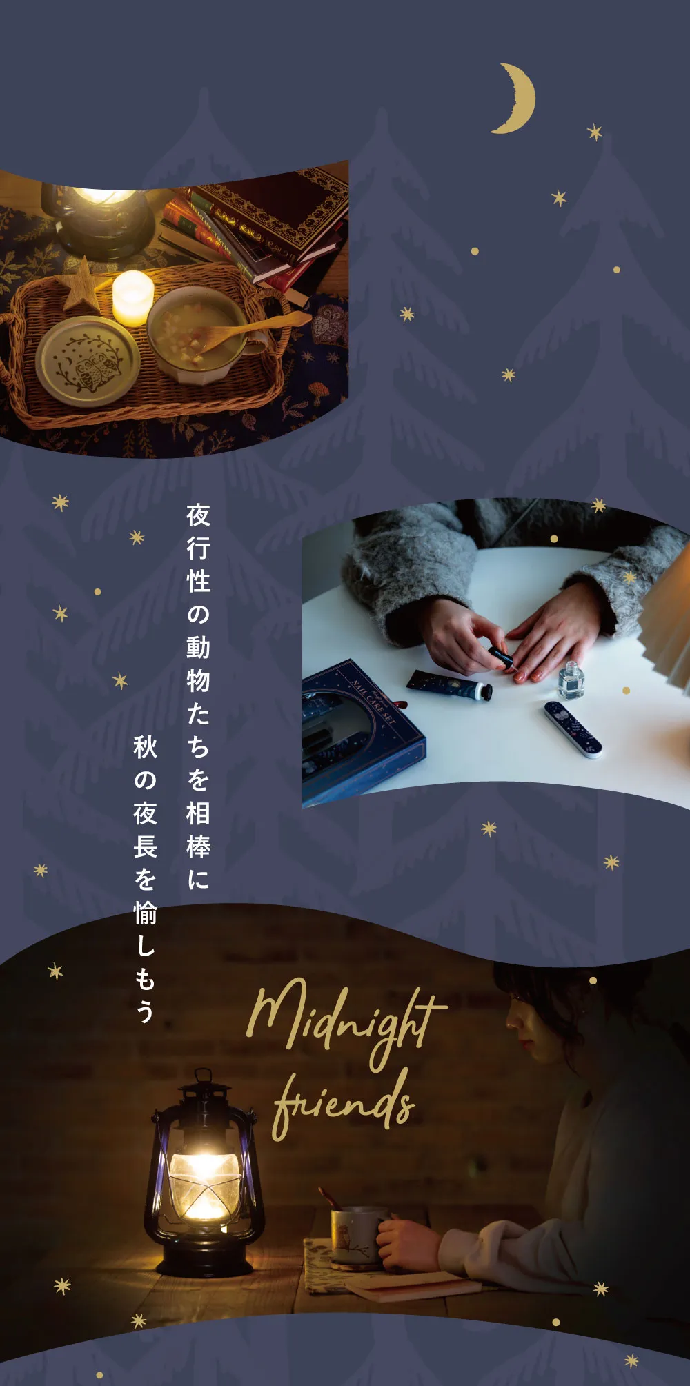 Midnight Friends 夜行性の動物たちを相棒に秋の夜長を楽しもう