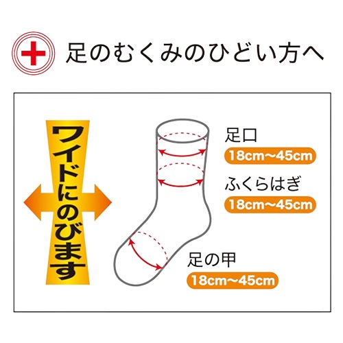 普通のサイズとの比較