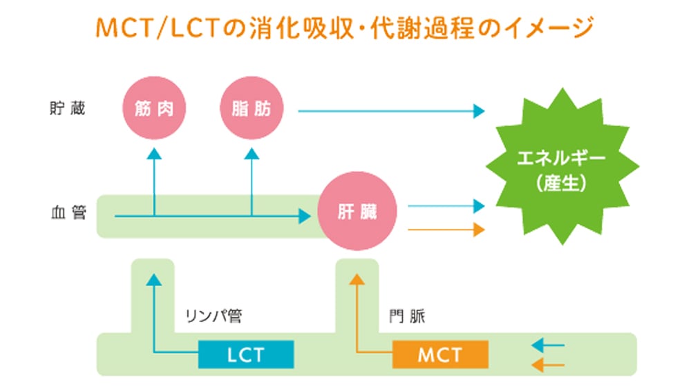 MCT3.0g(1パック 125ml当たり)