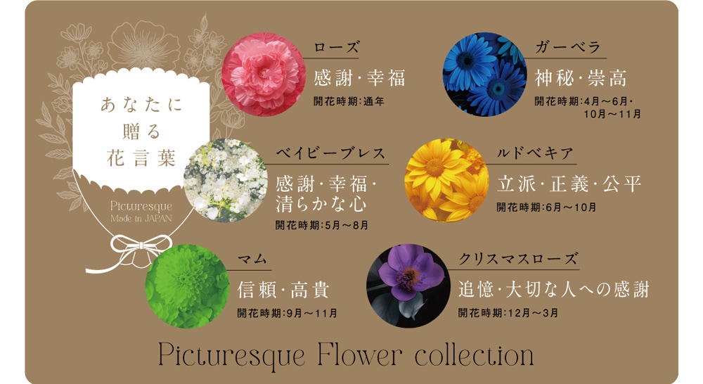 彩りをもたらす花言葉と季節の旬