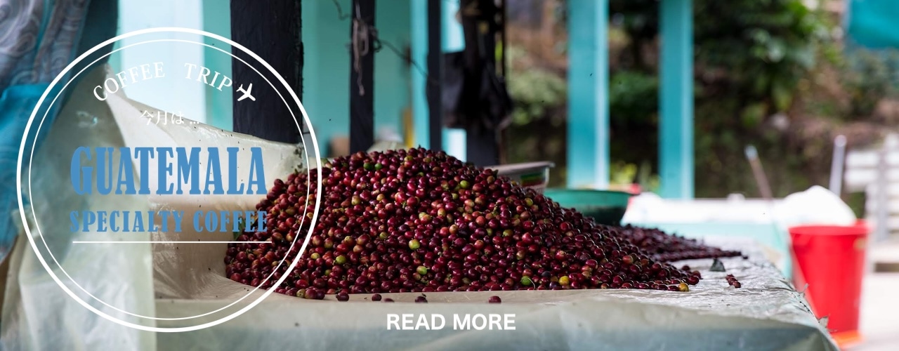 パプアニューギニア・オカパ