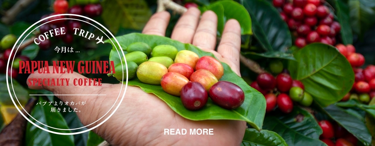 パプアニューギニア・オカパ