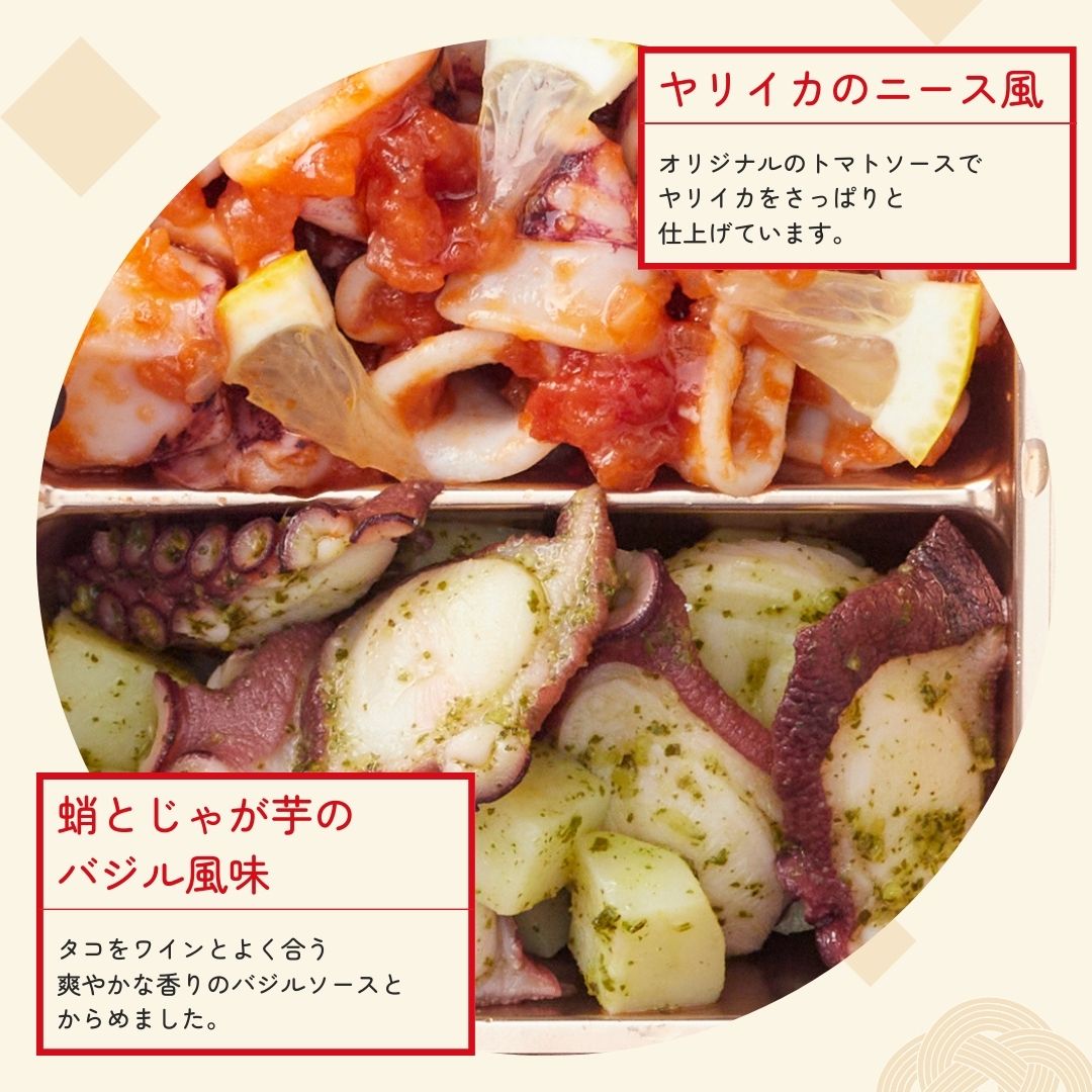 �襤�襤�����������ɥ֥�2026