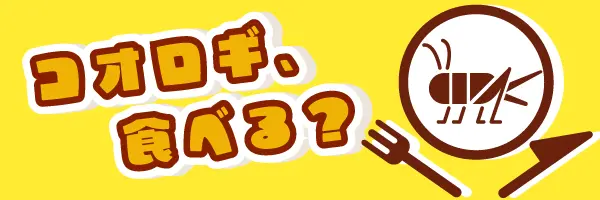 �������������٤롩