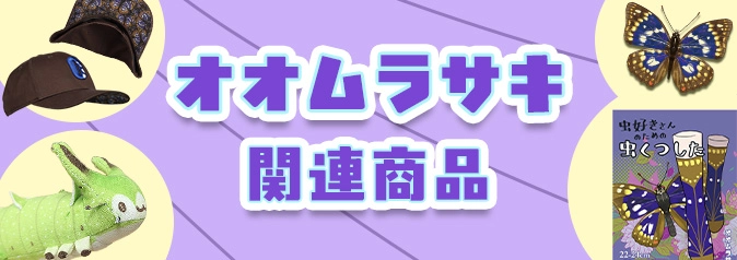 ������饵����Ϣ����
