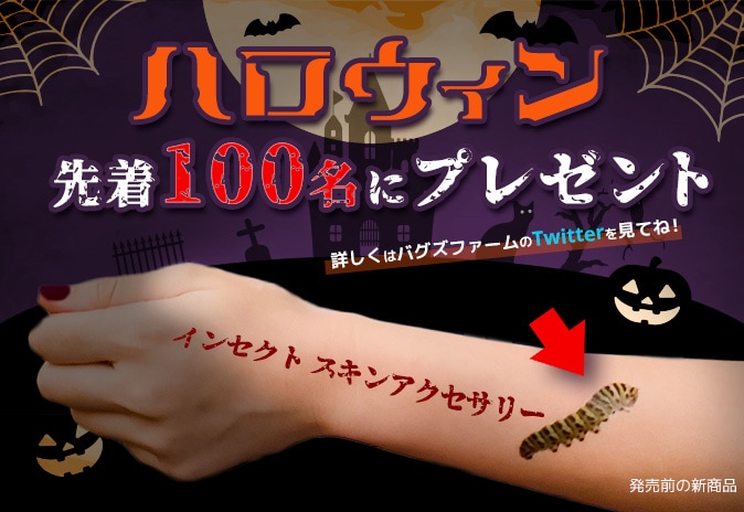 ハロウィン　先着１００名プレゼント　キャンペーン