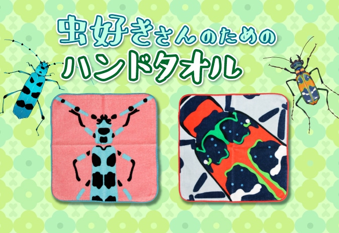 �������Τ���Υϥ�ɥ�����