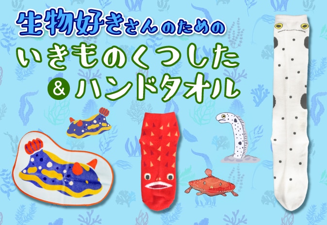 ��ʪ��������Τ���Τ�����Τ��Ĥ������ϥ�ɥ�����