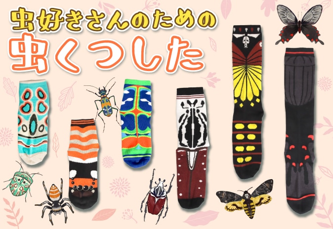 �������Τ������Ĥ���