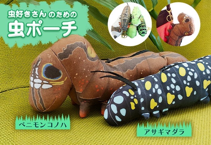 �������Τ������ݡ���