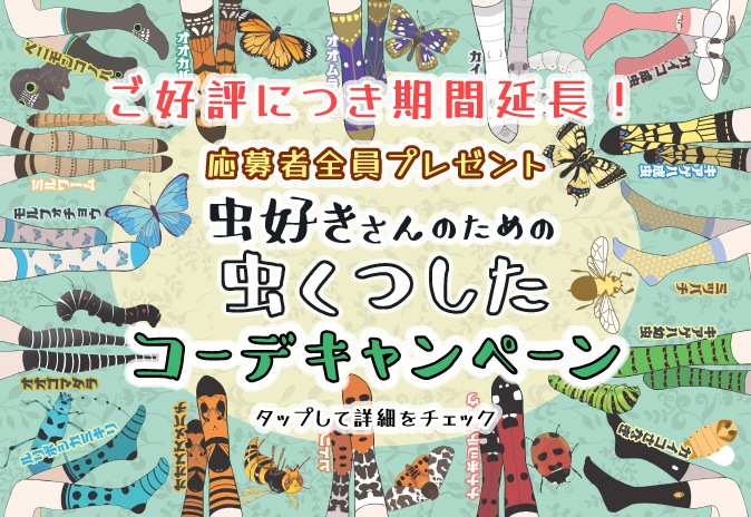 ����������ץ쥼��� �������Τ������Ĥ��� �����ǥ����ڡ���