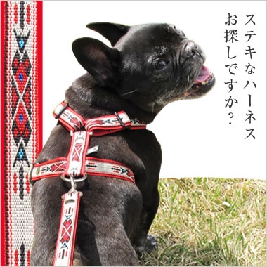 ブルオブルコ｜フレンチブルドッグ服とパグ服の専門店