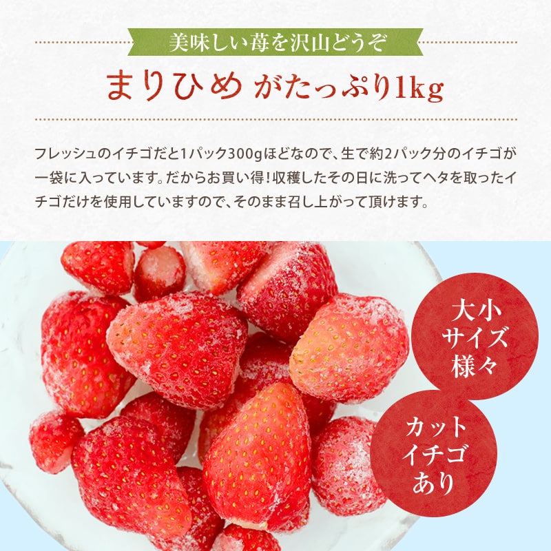 和歌山県産 まりひめ使用 冷凍いちご1kg （500g×2袋）, クール便送料無料（北海道、沖縄を除く） 無添加 こおりいちご , 糖度9度以上  苺スムージー いちごアイスクリーム イチゴジャム おうちで手作り たっぷり 業務用 冷凍果実 フローズン ストロベリ-紀州グルメの通販店ふみこ農園