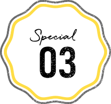 special03