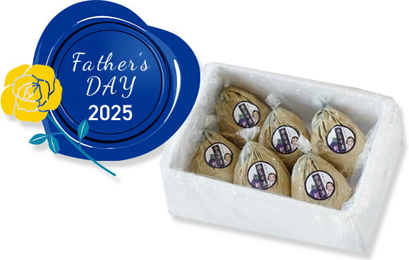 泉州産のふみこの水なす漬6個入