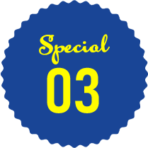 special03