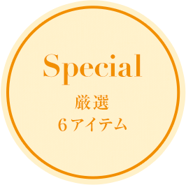 厳選 6アイテム