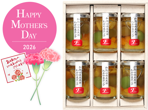 あんぽ柿 6個入