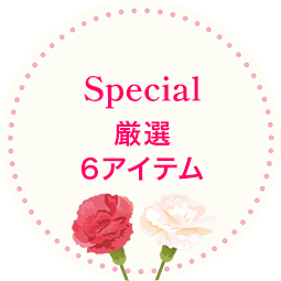 厳選 6アイテム