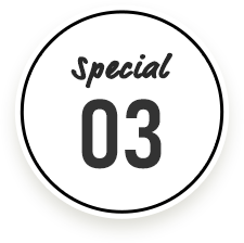 special03