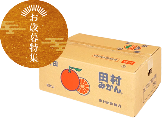 わかやまポンチ6本入